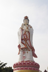 Obraz premium Cult objects of Buddhists