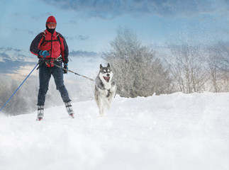 Cross Country Skiers