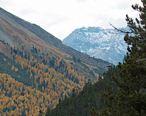 Naturpark