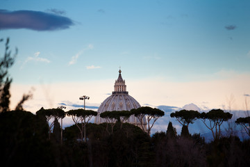 Obraz premium cupola di san pietro con pini 