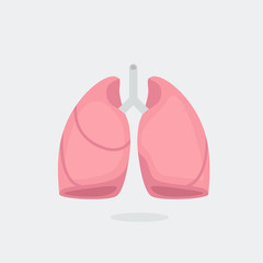 Lungs vector illustration