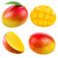 mango fruit isolated