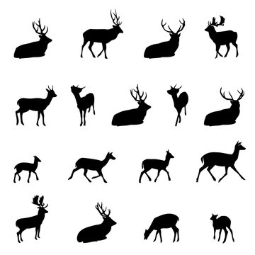 Christmas reindeer silhouettes.