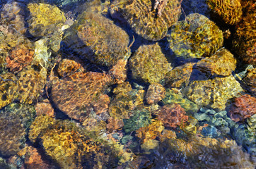 Close-up of the stones through clear water flowing