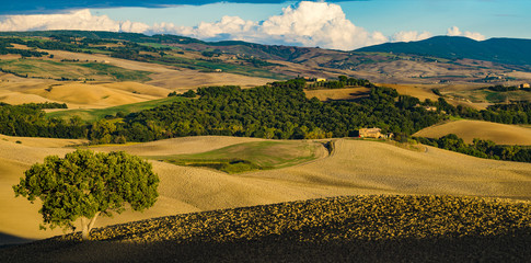 Autumn in the Tuscan fields