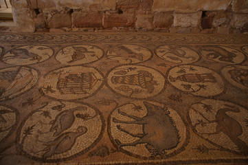 Byzantine mosaic in the Byzantine Church of Petra, Jordan