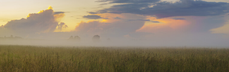 beautiful, colorful morning on a spring meadow