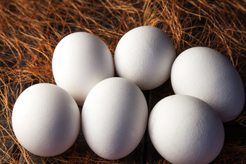 Raw fresh white farmer's eggs on decorative straw and wooden background. Healthy and sport food. Easter theme.