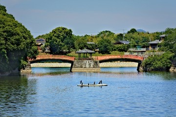 Fototapeta na wymiar 二重橋と池と水鳥