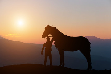 Fototapeta premium silhouette of a boy petting a horse on the background of a beautiful sunset