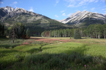 Fototapeta na wymiar Banff National Park, Alberta, Canada