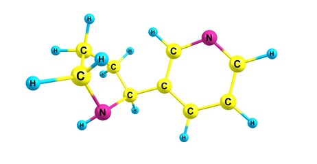 Nornicotine molecular structure isolated on white