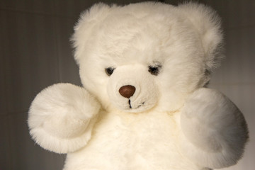 Cute white teddy bear