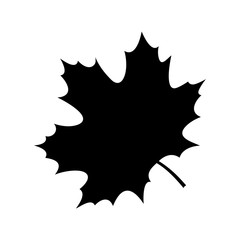 Maple leaf