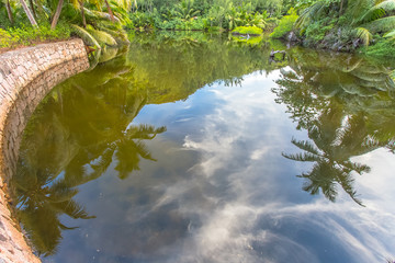 reflets sur marigot à anse Lazio, Praslin, Seychelles 