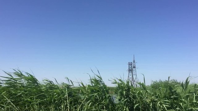 High grass. Vetere. Blue sky