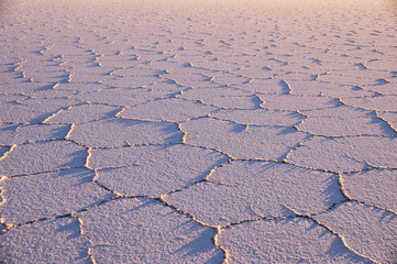 Fototapeta na wymiar Salt pattern at sunrise - Salar de Uyuni, Bolivia