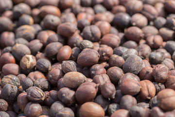 Roasted coffee beans