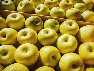 Gelbe Äpfel