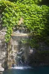 Необычный красивый фонтан в виде головы, у которой изо рта течет вода, а сверху растет зеленая густая листва
