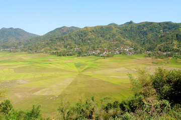 Spiderweb Ricefield in Cancar, Flores
