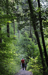 eine frau mit hund geht im oberen püttlachtal