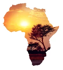 Tuinposter African sunset with acacia, Map of africa concept © ArtushFoto