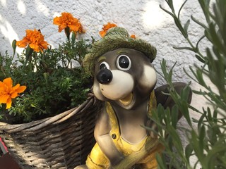 Maulwurf  mit Tagetes im Körbchen