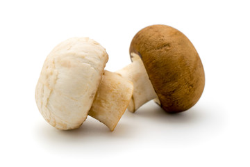 Champignon mushroom on white