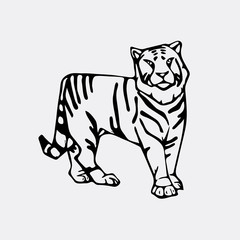 Hand-drawn pencil graphics, tiger head. Engraving, stencil style. 