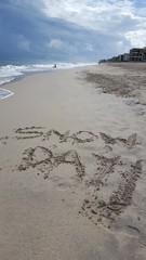 Snowday in SW Florida