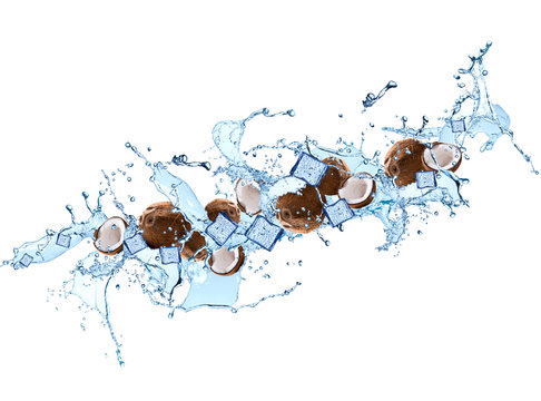 Splash with coconut isolated on white background. Abstract water with fresh fruits. © verca