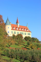 Fototapeta na wymiar Das berühmte Schloss St. Martin in Graz (Steiermark)