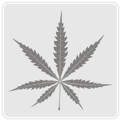 monochrome icon with cannabis leave for your design