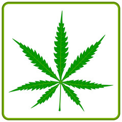color icon with cannabis leave for your design