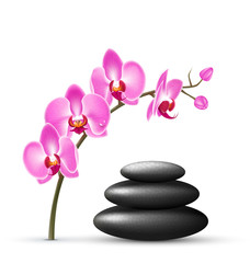 Obraz na płótnie Canvas Stack of spa stones with orchid pink flowers isolated on white