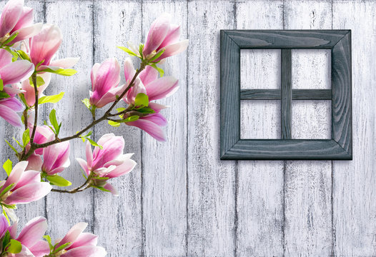 Magnolia flowers on background of wooden wall and window 