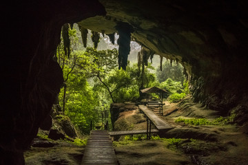 Niah National Park, Niah Cave in Sarawak Malaysia - obrazy, fototapety, plakaty