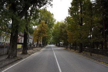 The asphalt road in the small Georgian town