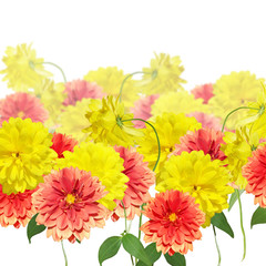 Beautiful floral background of dahlia and rudbeckia 