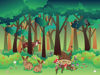 Summer Forest and Animals