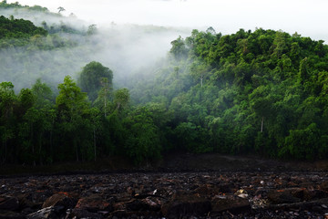 the beautiful lake with mist