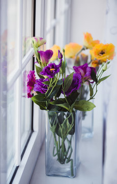 Flowers in a vase on the window
