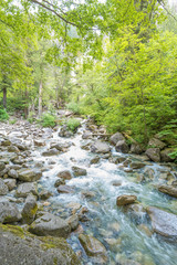 Obraz premium Shannon Falls, BC, Kanada