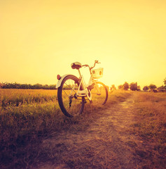 Fototapeta na wymiar Sunset sky with bicycle 