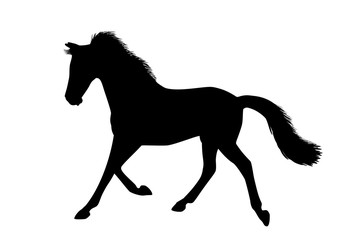 Fototapeta na wymiar Silhouette of a running horse. There is a variant in a vector.