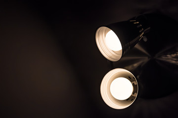 Two incadescent light bulbs in an industrial lamp.