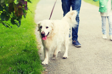 close up of family with labrador dog in park