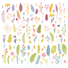 Big floral collection.