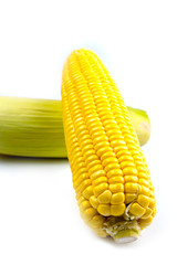 Corn isolate photo on white background.